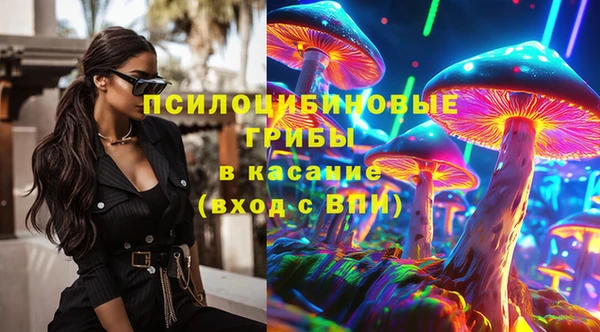 ПСИЛОЦИБИНОВЫЕ ГРИБЫ Заволжск