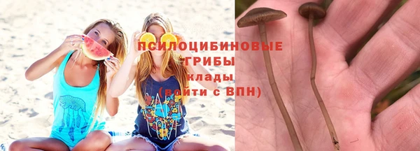 стаф Заволжье