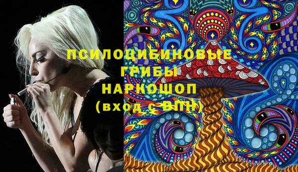 ПСИЛОЦИБИНОВЫЕ ГРИБЫ Заволжск