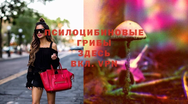 ПСИЛОЦИБИНОВЫЕ ГРИБЫ Заволжск