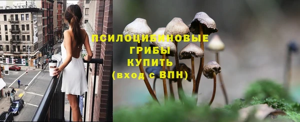 стаф Заволжье