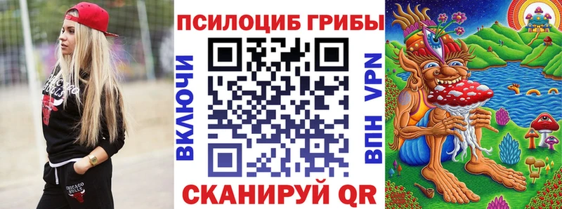 Псилоцибиновые грибы Psilocybine cubensis  Саянск 
