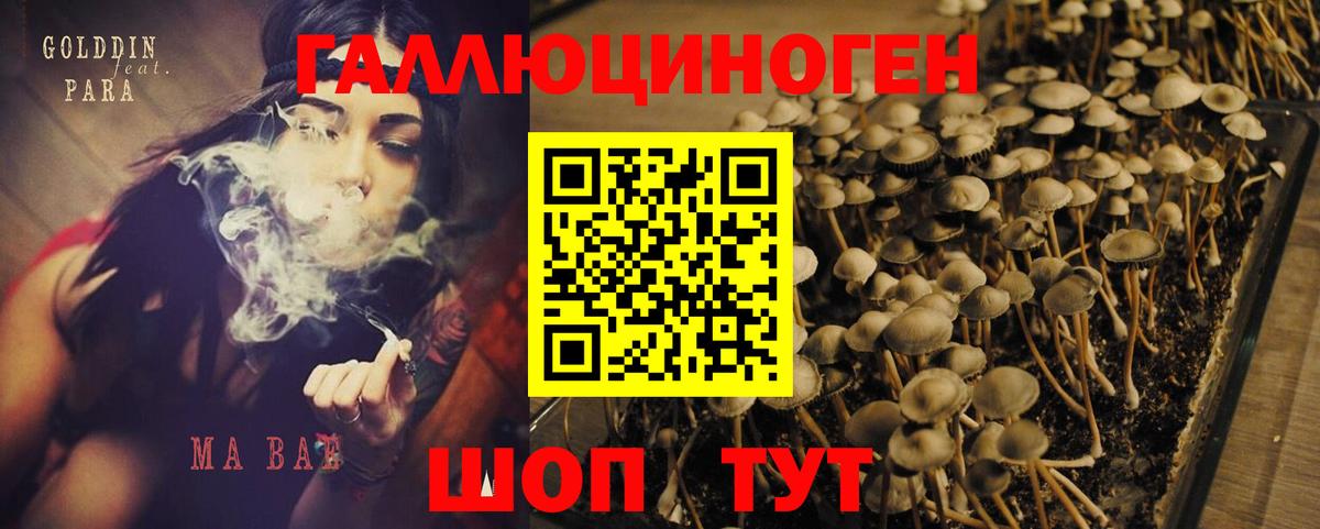 Саянск  Галлюциногенные грибы мухоморы  Вход с VPN 