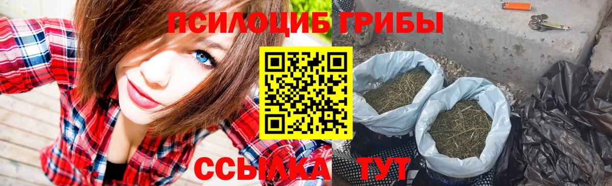 Галлюциногенные грибы GOLDEN TEACHER Саянск